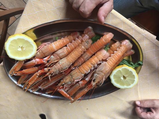 Il Pergolato Da Angelo